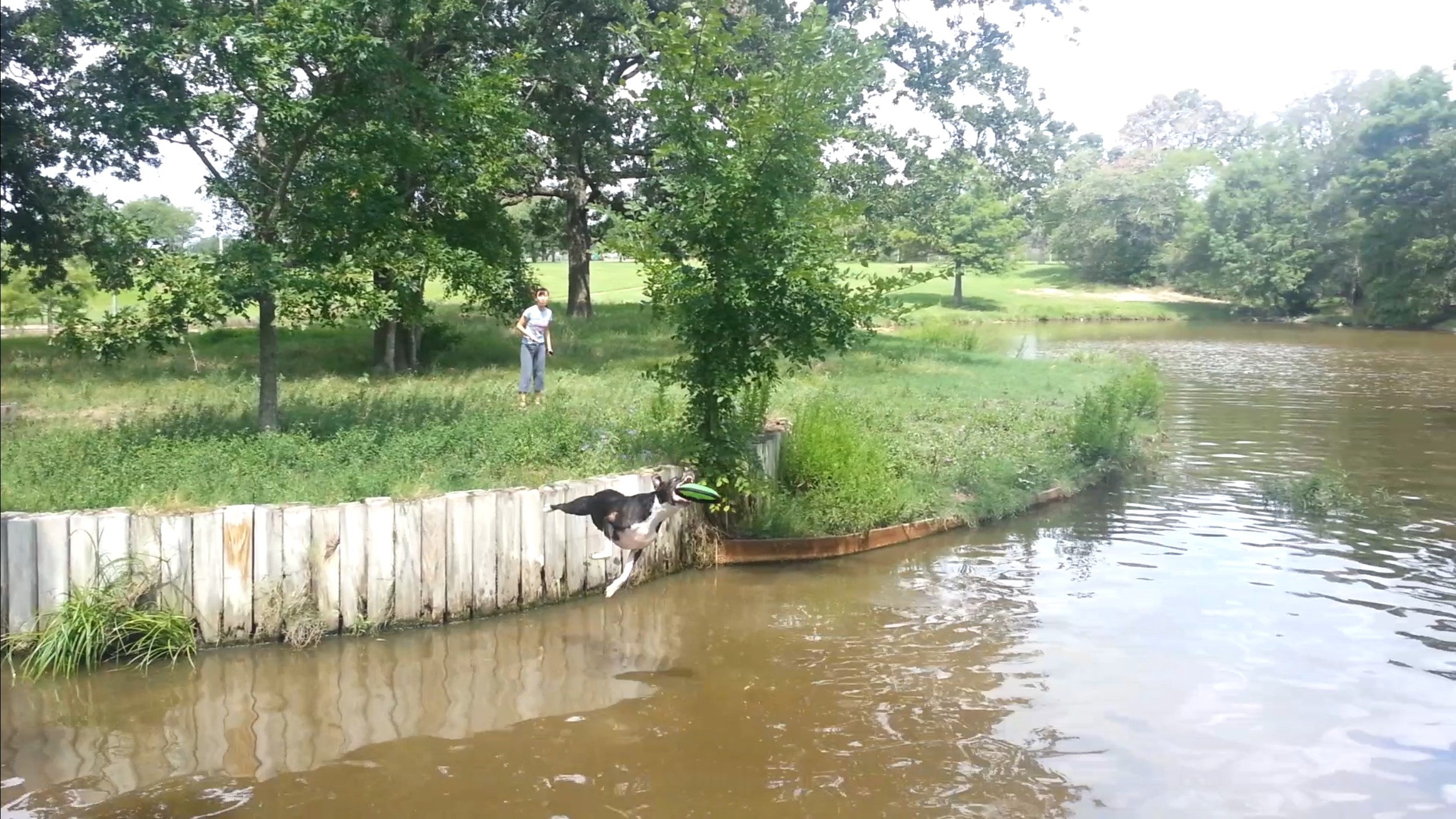 Mid-Air Catch!